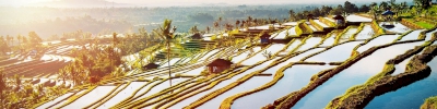 Together for a Sustainable Future-Solar Radiance