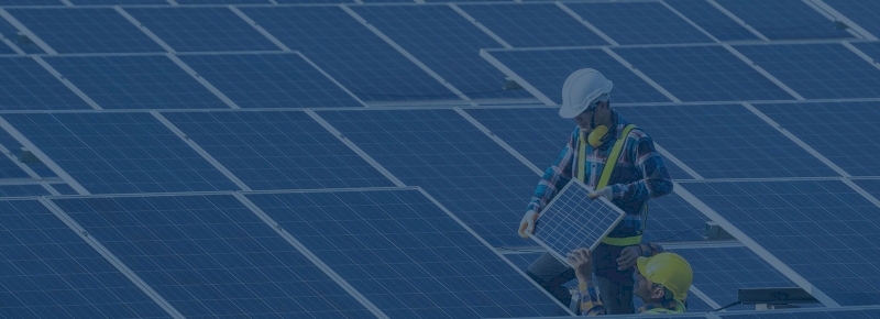 Together for a Sustainable Future