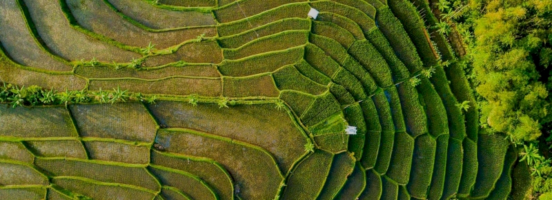 Strong Local Presence